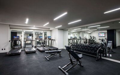 LondonHouse Chicago, Curio Collection by Hilton
