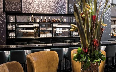 LondonHouse Chicago, Curio Collection by Hilton