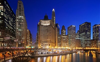 LondonHouse Chicago, Curio Collection by Hilton