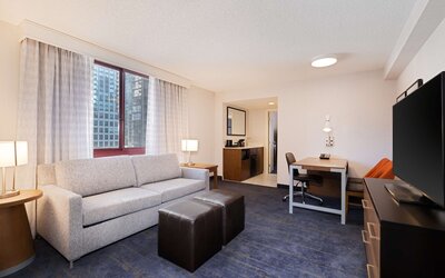 Embassy Suites by Hilton Chicago Downtown River North