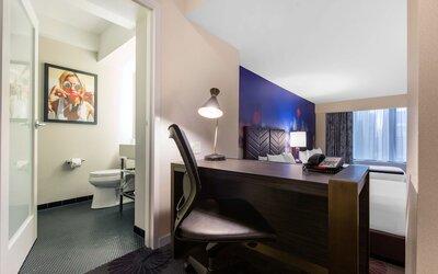 The Chicago Hotel Collection - Magnificent Mile