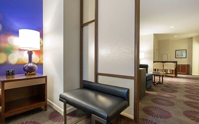 The Chicago Hotel Collection - Magnificent Mile