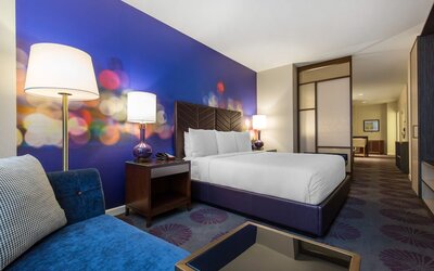 The Chicago Hotel Collection - Magnificent Mile