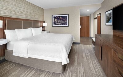 Hampton Inn & Suites Chicago Downtown