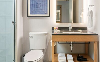 Hyatt Place Chicago Medical/University District
