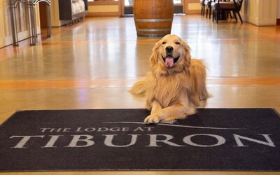 The Lodge at Tiburon