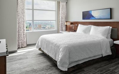 Hilton Garden Inn Chicago McCormick Place