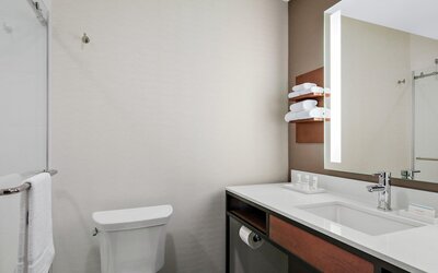 Hilton Garden Inn Chicago McCormick Place