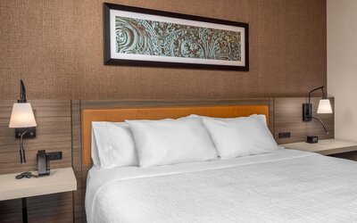 Hilton Garden Inn Chicago Central Loop