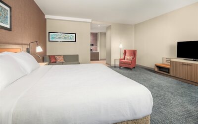 Hilton Garden Inn Chicago Central Loop