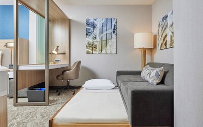 SpringHill Suites by Marriott Chicago Chinatown