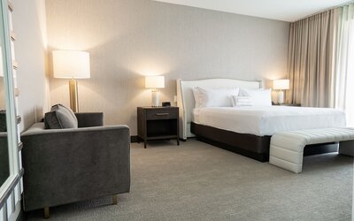 SpringHill Suites by Marriott Chicago Chinatown