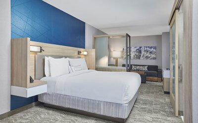 SpringHill Suites by Marriott Chicago Chinatown