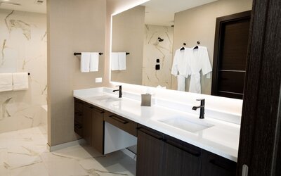SpringHill Suites by Marriott Chicago Chinatown
