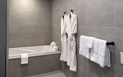 SpringHill Suites by Marriott Chicago Chinatown