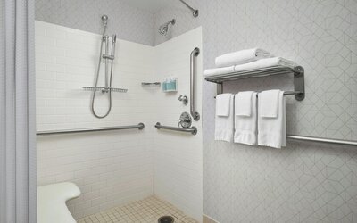 Springhill Suites by Marriott Chicago Downtown/ River North