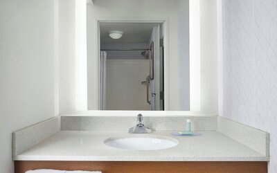 Springhill Suites by Marriott Chicago Downtown/ River North