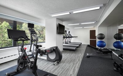 Sonesta ES Suites Chicago Downtown Magnificent Mile - Medical