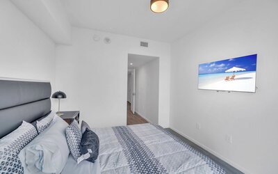 Alea Miami