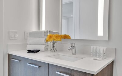 Alea Miami