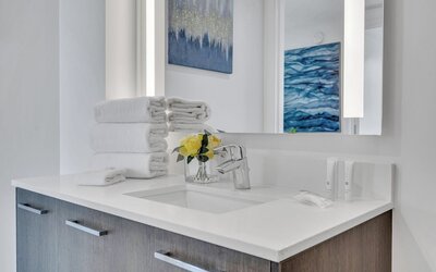 Alea Miami