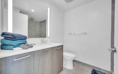 Alea Miami