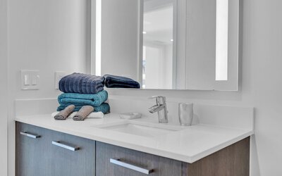 Alea Miami