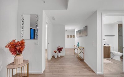 Alea Miami