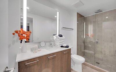 Alea Miami
