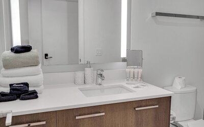 Alea Miami