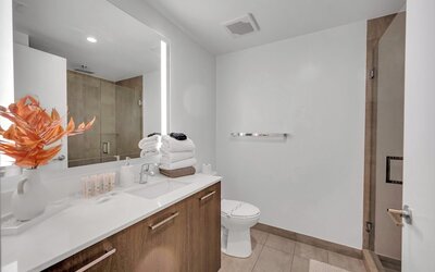 Alea Miami