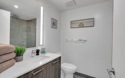 Alea Miami