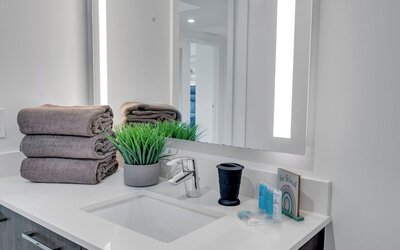Alea Miami
