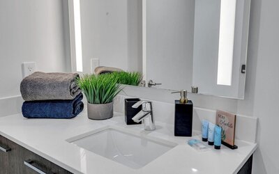 Alea Miami