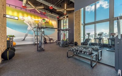 Alea Miami