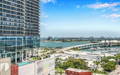 Alea Miami