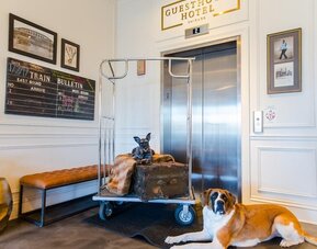 The Guesthouse Hotel