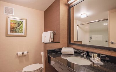 Fairfield Inn & Suites Chicago Downtown/River North