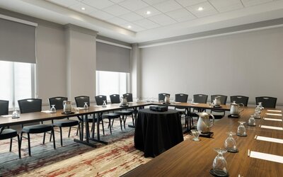 Hilton Garden Inn Chicago Downtown/Magnificent Mile