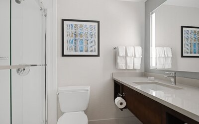 Hilton Garden Inn Chicago Downtown/Magnificent Mile