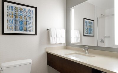Hilton Garden Inn Chicago Downtown/Magnificent Mile