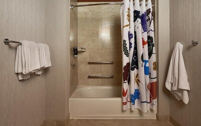 Hyatt Centric Chicago Magnificent Mile