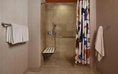 Hyatt Centric Chicago Magnificent Mile
