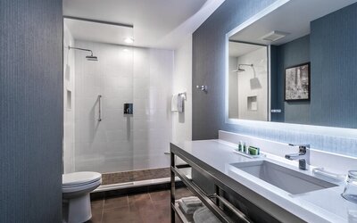 Cambria Hotel Chicago Loop - Theatre District