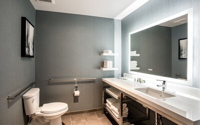 Cambria Hotel Chicago Loop - Theatre District