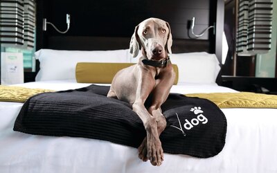 Vdara Hotel & Spa at ARIA Las Vegas