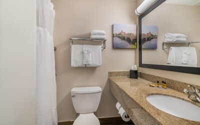 Best Western Plus Waltham Boston