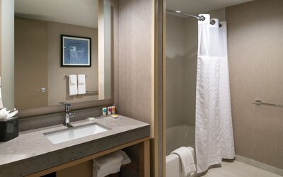 Hyatt Place Chicago/Wicker Park