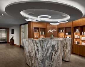 The Ritz-Carlton, Chicago