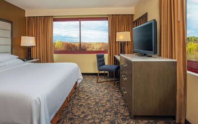 Embassy Suites by Hilton Boston Waltham